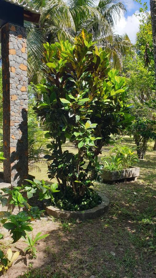 Les Citronniers Bed & Breakfast Ile Sainte-Marie Bagian luar foto
