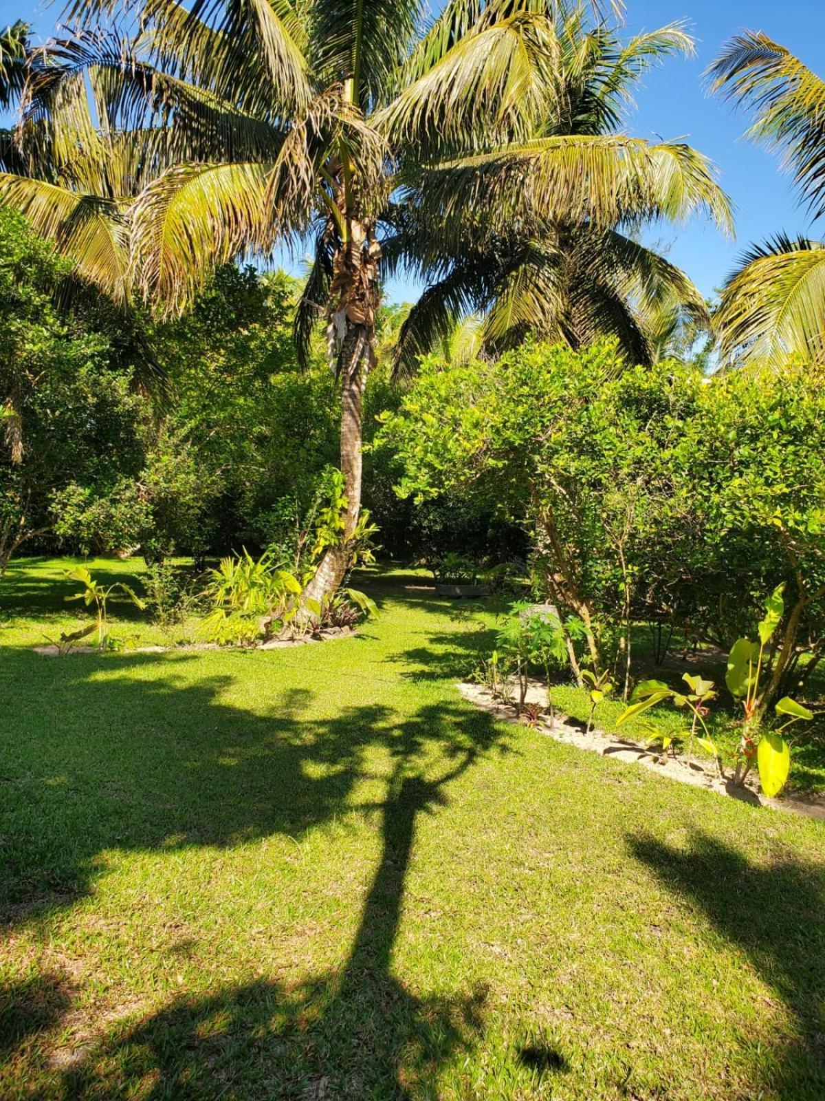 Les Citronniers Bed & Breakfast Ile Sainte-Marie Bagian luar foto